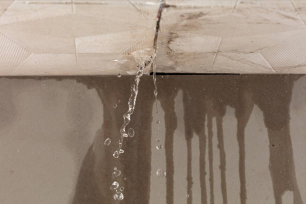 Professional Burst Pipe Cleanup technician working in Woodville, CA